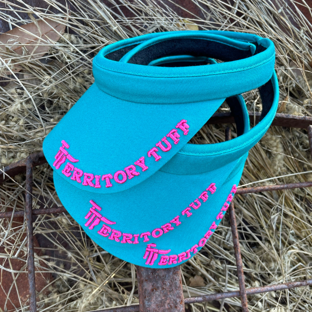 TT Longhorn Visor