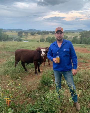 Elliot Work Shirt Cobalt